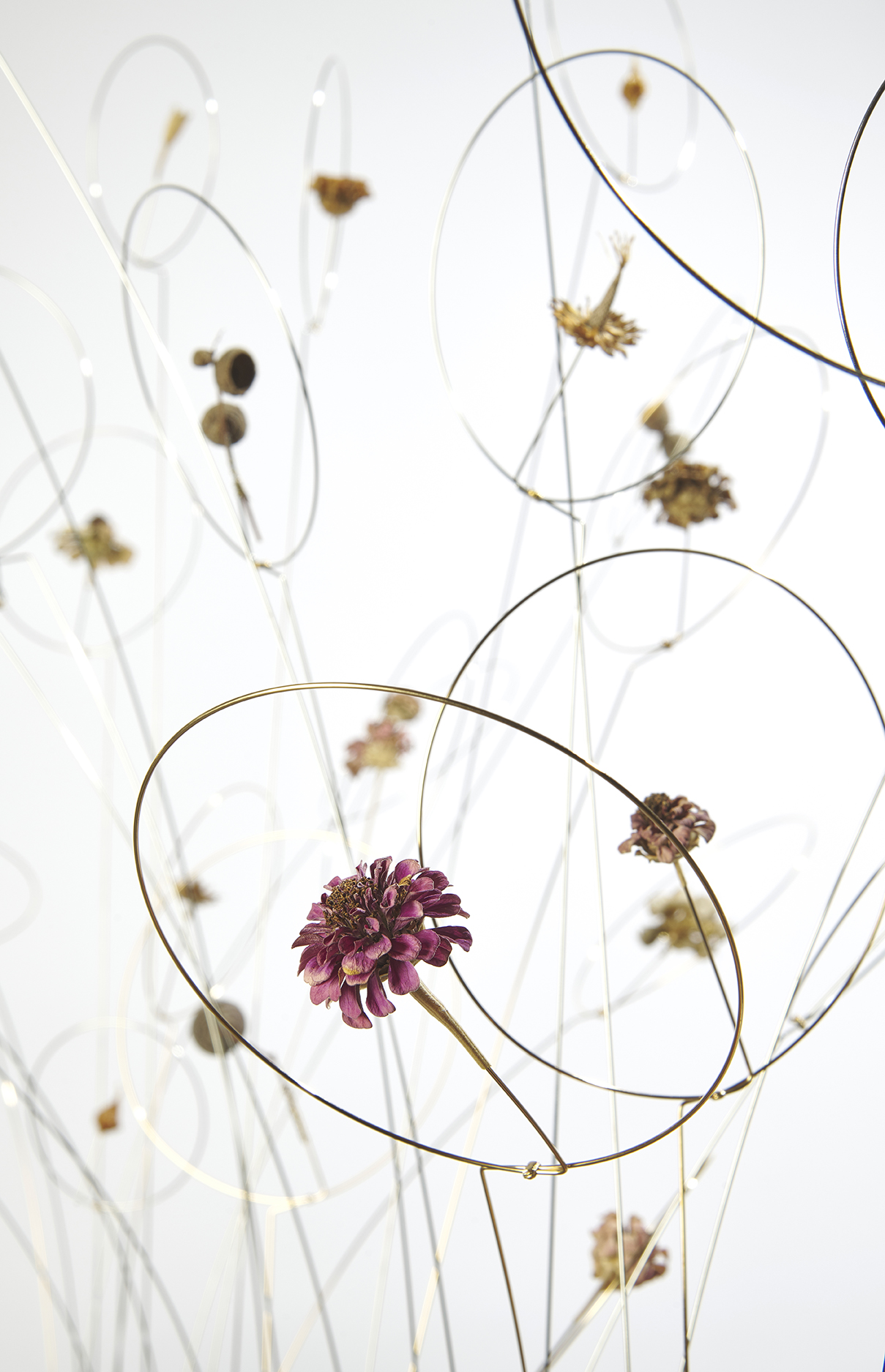 L’AUTOMNE ou A L’HIVER JE ME DONNE