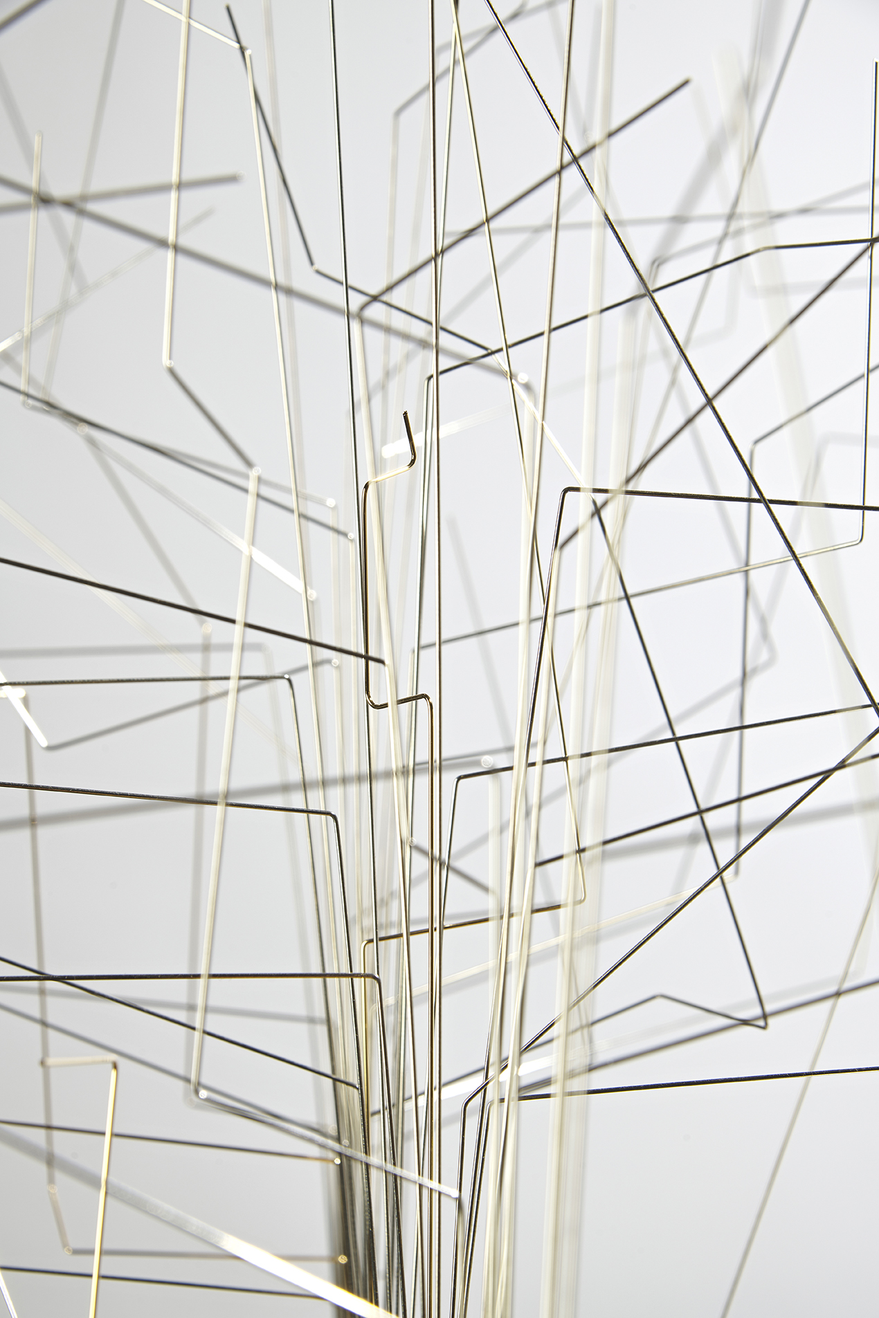 L’HIVER ou L’ARBRE ENDORMI