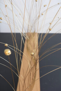 LES HERBES FOLLES