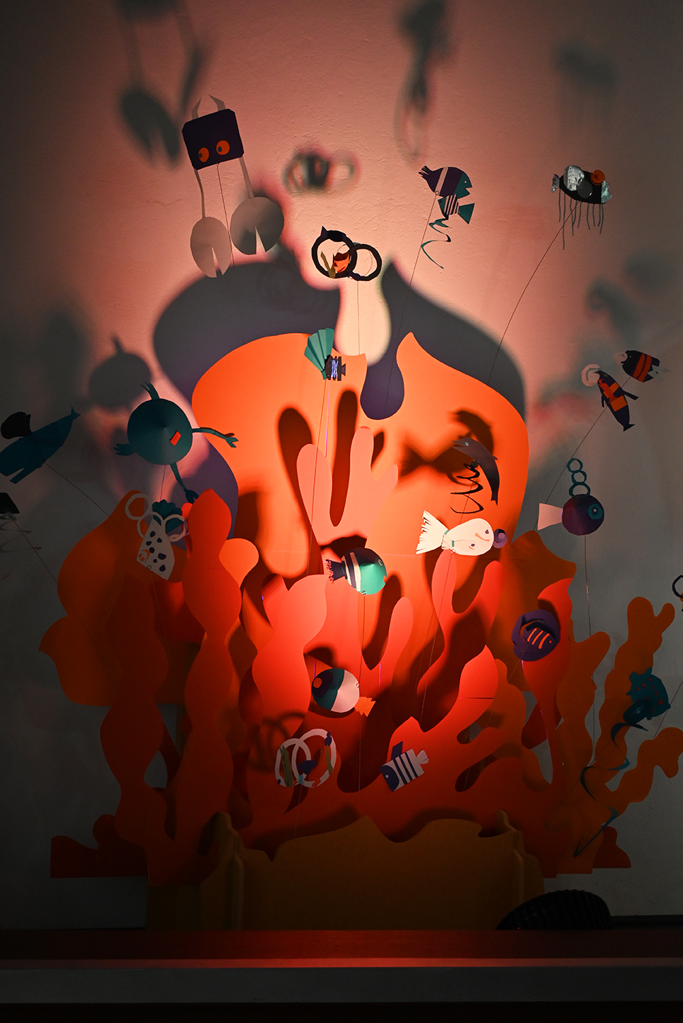 corail_lumieere_christelsadde